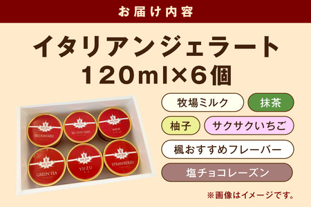 島根の新鮮な素材をふんだんに使った「イタリアンジェラート」（6個入） アイスクリーム 人気 スイーツ イタリアンジェラート お菓子 アイス ミルク チョコ 抹茶 苺 ギフト ご褒美 贈答【003_06