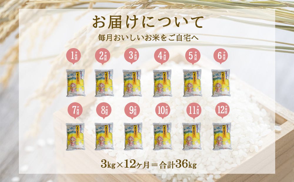 【年間定期便】 令和7年産先行予約 えびの産 ひのひかり 3kg×12ヶ月 合計 36kg 定期便 米 お米 白米 おにぎり ヒノヒカリ お弁当 九州 宮崎県 特選米 冷めても美味しい 送料無料