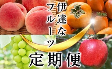 ＜2025年夏から開始の定期便＞伊達なフルーツ定期便（もも3種×3kg・ぶどう2種・かき・りんご3kg）果物 フルーツ 桃 モモ 葡萄 ブドウ 柿 カキ 林檎 リンゴ 福島県 伊達市 F20C-479