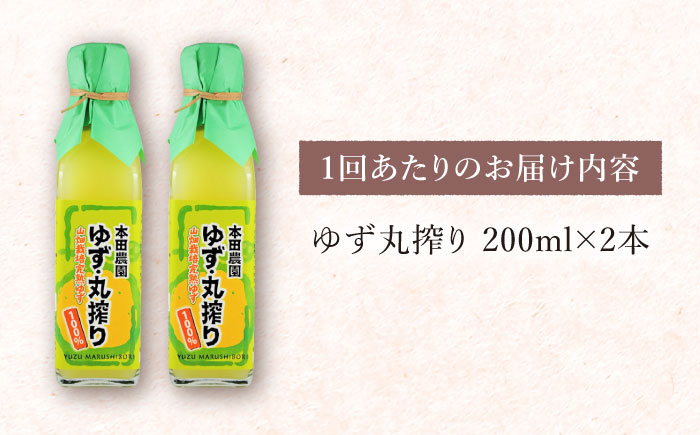 【全3回定期便】ゆず丸搾り 200ml 2本 柚子 熊本 山都町【本田農園】[YDL019] 30000 30,000 30000円 30,000円 3万円