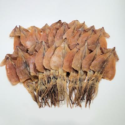 ふるさと納税 せたな町 スルメ20枚セット |  | 01