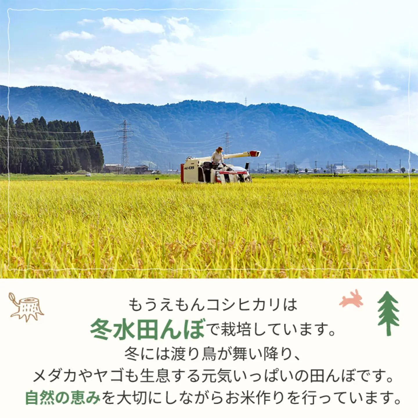 【令和7年産】冬水田んぼでつくる 特別栽培米 もうえもん コシヒカリ（5kg × 1袋）真空パック