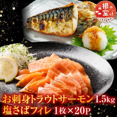 ふるさと納税 根室市 お刺身トラウトサーモン1.5kg、塩さばフィレ20P C-09021