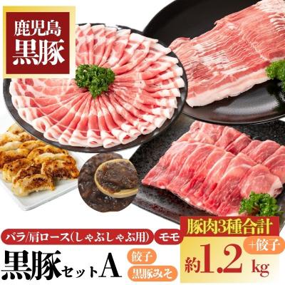 ふるさと納税 肝付町 黒豚セットA (計約1.2kg)黒豚みそ(160g×2本)黒豚餃子(12個入×2P)　B02087