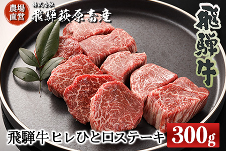 【年内順次発送】飛騨牛ヒレひとくちステーキ（300g）最高級 国産 牛肉 ブランド牛 和牛 サイコロステーキ 年内配送 年内発送 年内に届く 年内お届け【22-23n】【冷凍】ステーキ ひとくち ヒレ 赤身 飛騨牛