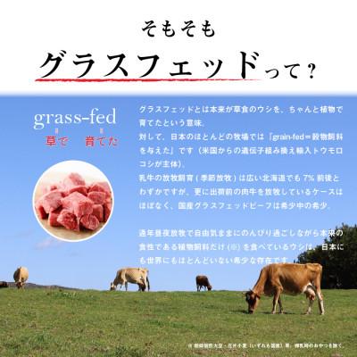 ふるさと納税 岩泉町 なかほら牧場 グラスフェッドビーフ角切り(500g) |  | 01