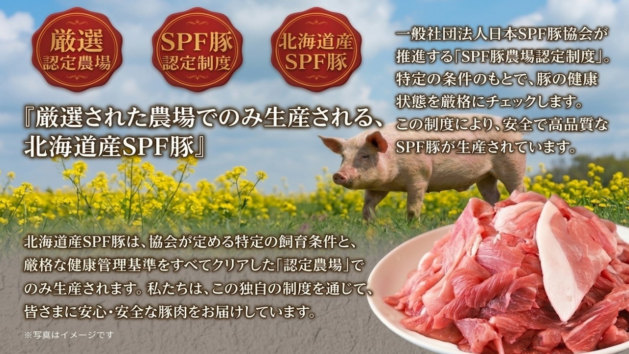 【2027年3月配送】ホクレン 豚肉 切り落とし 北海道産 4.62kg (770g×6袋) SPF豚 モモ 小分け 機能性表示食品