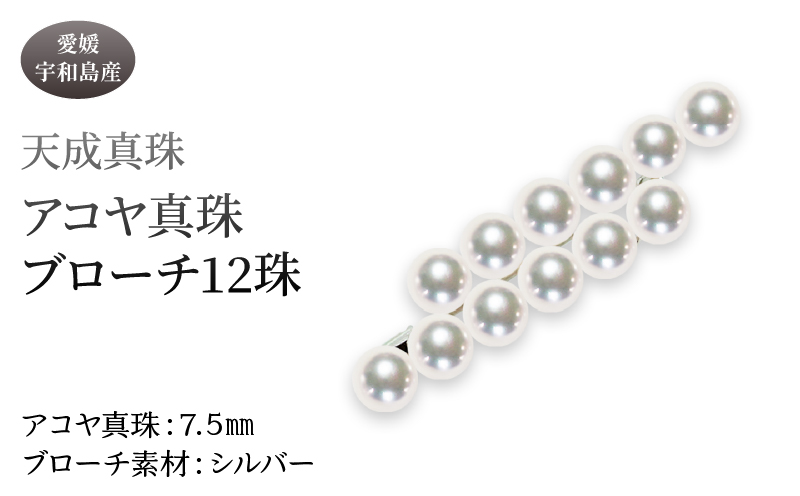 アコヤ真珠 ブローチ 7.5mm 12珠 天成真珠 アクセサリー ファッション akoya 本真珠 真珠 パール  越し物 高級 プレゼント 贈り物 贈答品 贈答用 お祝い 誕生日 成人式 卒業祝 就