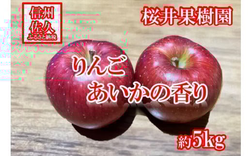 長野県産りんご『あいかの香り』 家庭用 約5kg（10～23玉入）〈2025年11月出荷／沖縄・離島は配送不可〉信州 果物 旬彩 先行予約 期間限定 国産 【 フルーツ 長野県 佐久市 桜井果樹園 】