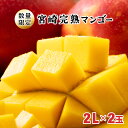 ＜先行予約受付中・数量限定＞宮崎完熟マンゴー 2L×2玉（350g～449g以上×2玉）宮崎県産の完熟マンゴー 季節の フルーツ 果物 くだもの まんごー【KU019】