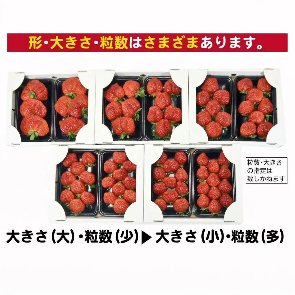 いちご あまおう G以上 約520g（260g×2パック）いちご 東北