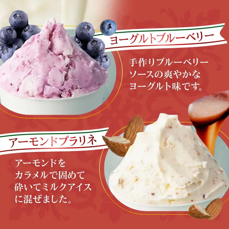 本場イタリア仕込み！GENOVA Best8 アイスクリーム ＜130ml×8個セット＞_B006-004