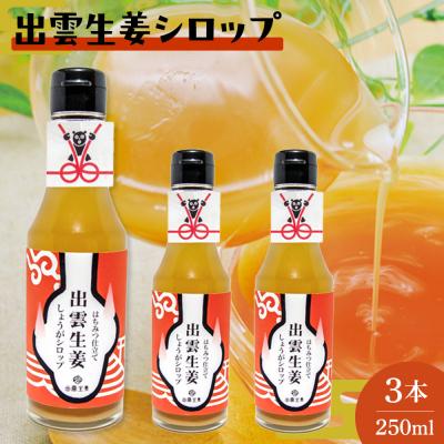 ふるさと納税 出雲市 出雲生姜シロップ3本セット