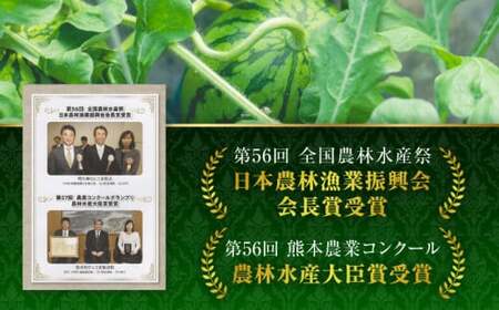 【先行予約】【数量限定】大玉 すいか Lサイズ【株式会社 前田ファーム】[ZCM001]