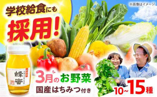 新鮮 野菜 やさい 野菜詰め合わせ 野菜セット 採れたて 彩り豊か 家庭 食卓応援 季節の味 新鮮便 健康志向 おうちごはん