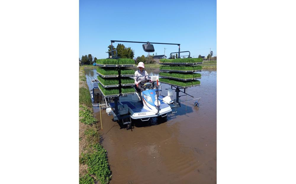 【令和7年産】みどりふぁーむのあきだわら玄米30kg