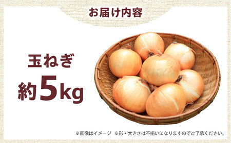 【7月以降発送予定】玉ねぎ 5kg [AOCS027]
