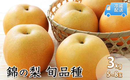 梨 錦の梨 古里農園 熊本県産 梨【約3kg 5〜8玉】【先行予約】