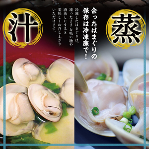 はまぐり 鹿島灘産 18粒以上 【 はまぐり 】
