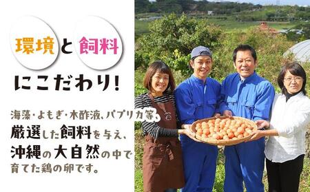 卵の黄身が掴めるほどの新鮮さ 美ら卵養鶏場の卵 80個【3ヶ月定期便】