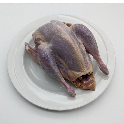 ふるさと納税 鬼北町 鬼北きじ丸鳥