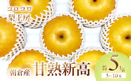 【先行予約】 梨 新高梨 甘熟 味に自信あり！！約5kg 5～10玉入 梨