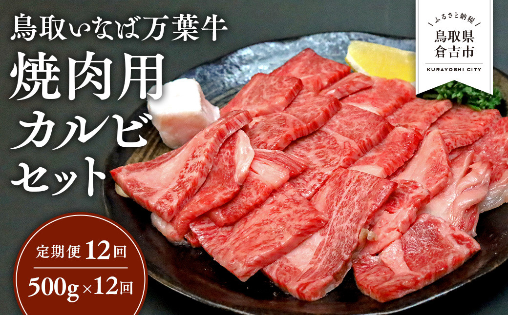 
                  【定期便12回】 鳥取いなば万葉牛 焼肉用カルビセット 500g × 12回 鳥取和牛 国産 牛肉 和牛 黒毛和牛 カルビ セット 焼肉 焼き肉 肉 ブランド牛 冷凍 定期便 鳥取県 倉吉市
                