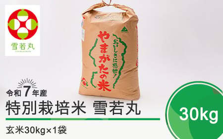 新米 米 雪若丸 30kg 令和7年産 【2026年1月下旬発送】大石田町産 特別栽培米 玄米 備蓄 防災 支援 農家 キャンプ 長期保存 先行予約 ※沖縄・離島への配送不可 ja-yugxa30-1s