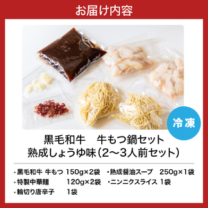 【鉄板将軍】黒毛和牛　牛もつ鍋セット　熟成しょうゆ味（2～3人前セット）【大阪府吹田市】