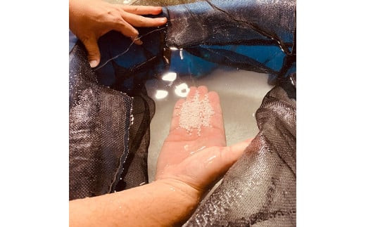 ★品切中★出雲富士　純米吟醸・純米720ml ２本セット