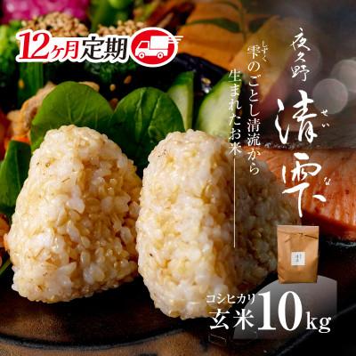 ふるさと納税 福知山市 【毎月定期便】京都夜久野産　清雫(せいな)コシヒカリ 玄米10kg(5kg×2袋)全12回