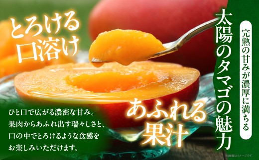 【全2回お届け】太陽のタマゴ 3L×2玉［T21］定期便 フルーツ 果物 くだもの 2027年 完熟マンゴー 国産 宮崎マンゴー マンゴージュース 南国フルーツ おすすめ デザート ギフト 贈り物 プ