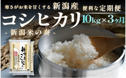 
                  【定期便】新潟産 コシヒカリ 10kg×3回（3ヶ月）
                