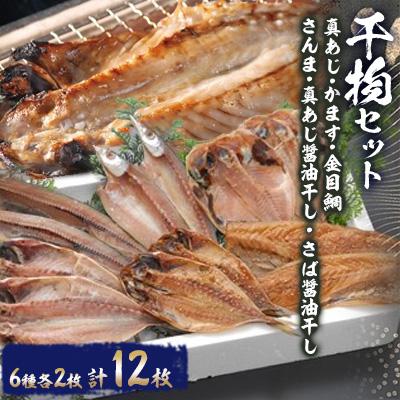 ふるさと納税 沼津市 6種類2枚ずつ干物セット(さんま)