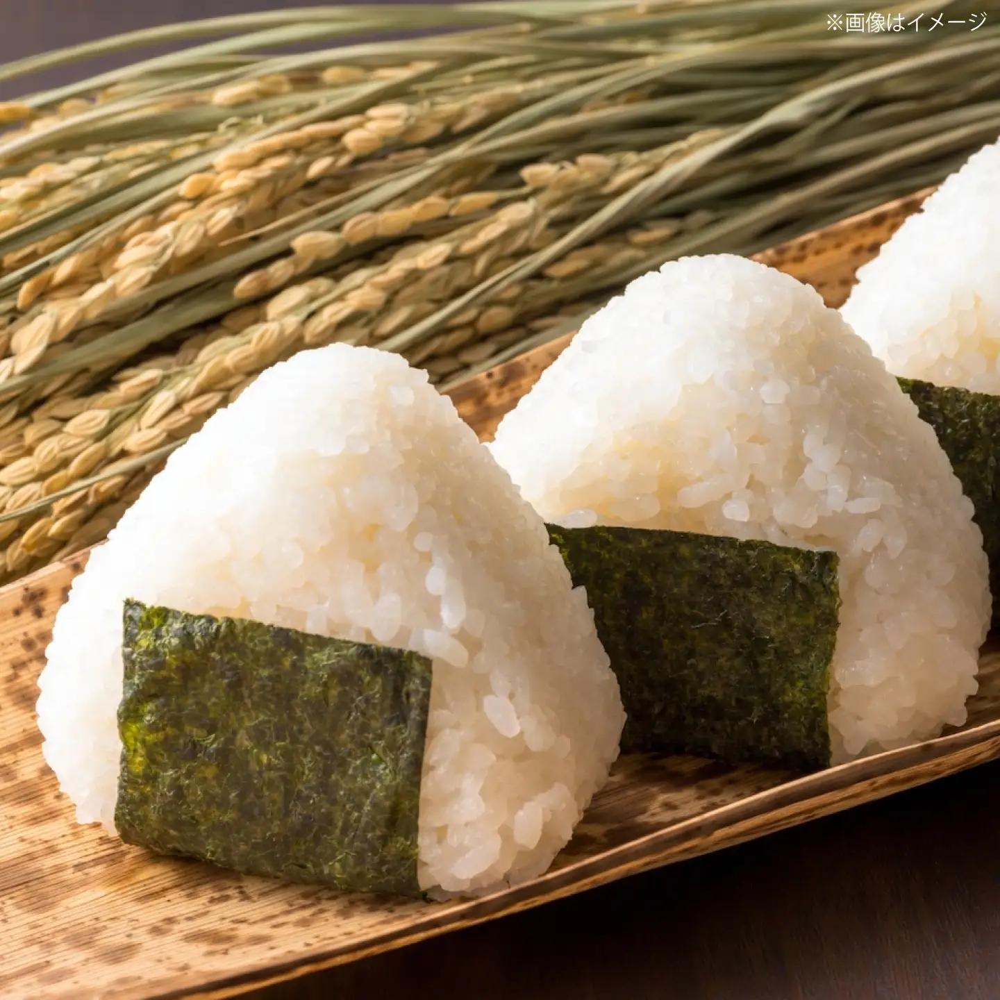 令和7年産コシヒカリ精米5kg｜ コシヒカリ ご飯 白米 松江市 島根県 中国 [ALBU016]