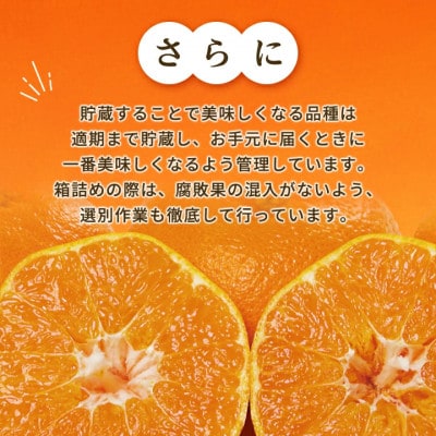 三代目の【頂みかん】7.5kg【E31−48】【1573267】