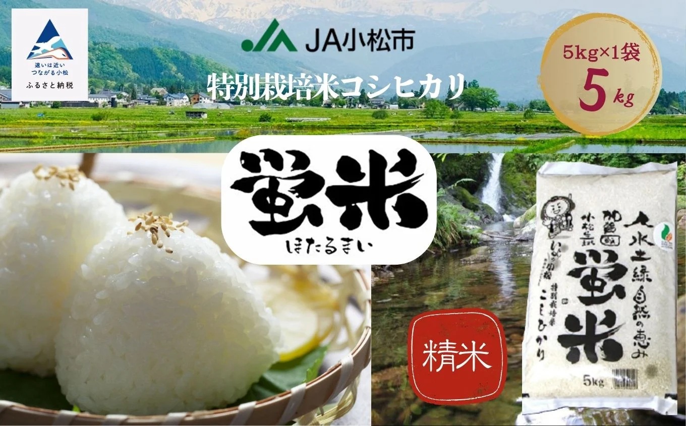 【先行予約】令和8年産【特別栽培米コシヒカリ】蛍米 精米 5kg｜石川県 小松市 ＪＡ小松市