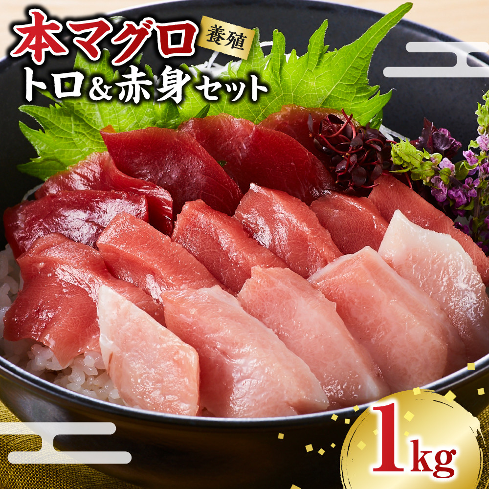 本マグロ（養殖）トロ＆赤身セット 1kg［KS13］
