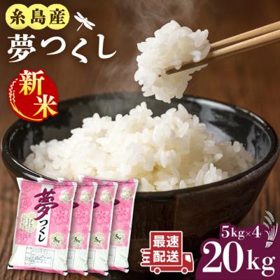 ふるさと納税 糸島市 糸島産 夢つくし 20kg 糸島市 / 三島商店[AIM074]