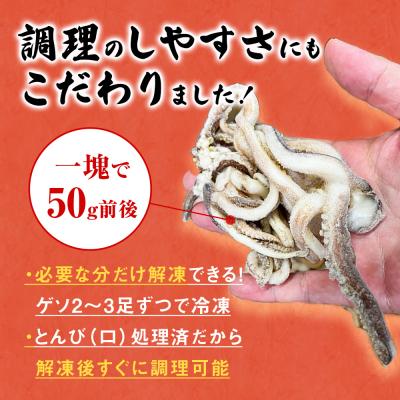 ふるさと納税 石巻市 訳あり 石巻産スルメイカゲソ 4kg 5月配送 冷凍 国産 いか 下足 おつまみ ゲソ天 石巻市 |  | 02