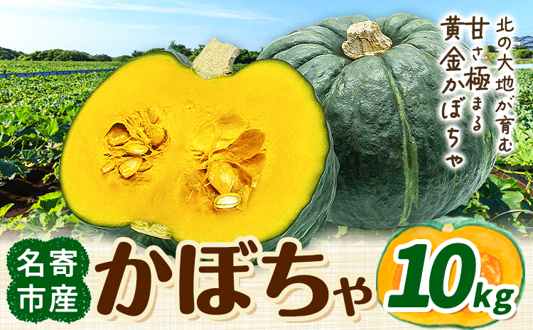 北海道名寄産 かぼちゃ 10kg 5玉～6【2玉北海道 名寄市 野菜 かぼちゃ 南瓜 黄金かぼちゃ先行予約026年10月上旬-10月下旬頃出荷】---nayoro_jdn_5_k10kg---