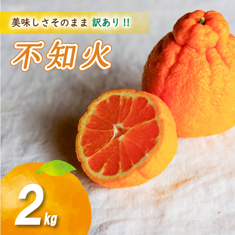 【2027年2月中旬頃から順次発送】 訳あり不知火 2kg | 数量選択可 みかん ミカン 蜜柑 柑橘 数量限定 愛媛県産 松山市 中島 愛媛 ふるさと納税