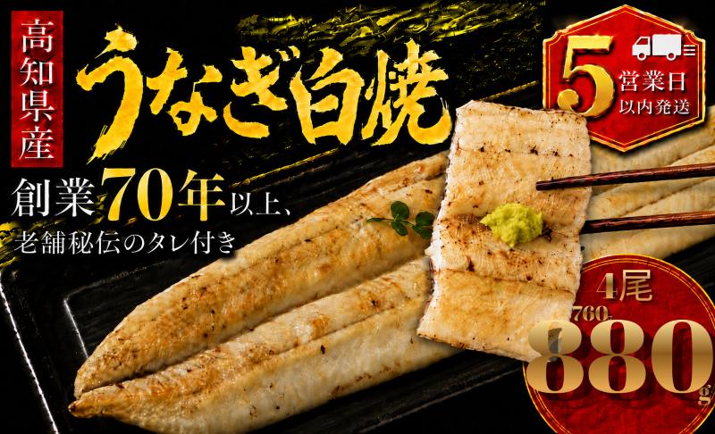 【スピード発送】 高知県産 うなぎ 白焼 4尾 | 国産 日本産 うな重 鰻 ウナギ 有頭 白焼き しらやき 土用丑の日 土用の丑の日 丑の日 魚 高級 贅沢 特別 老舗 初音 釜めし初音 鰻蒲焼 タレ付き タレ 贈答 お取り寄せ 冷凍 うな重 ギフト 贈り物 お祝い プレゼント ご褒美 人気 おすすめ 湯煎 簡単 調理 おかず お手軽 ご当地 グルメ 高知県 南国市