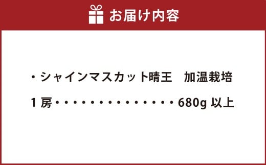シャインマスカット晴王 1房（680g以上） 加温栽培【2026年7月上旬～8月上旬まで順次発送予定】【シャインマスカット シャイン マスカット 人気フルーツ 岡山フルーツ おすすめフルーツ 岡山県 