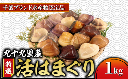活 はまぐり 九十九里産  約1kg 【 はまぐり 】