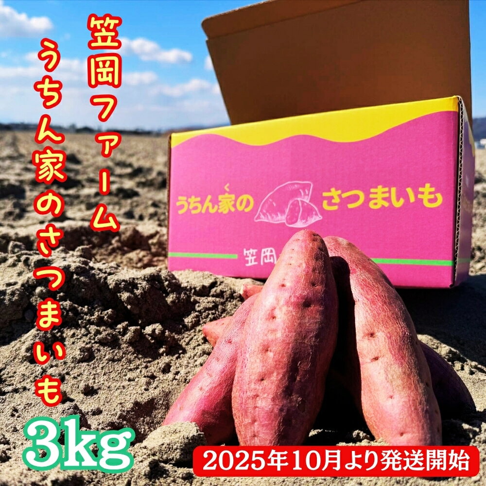 【ふるさと納税】 【 予約受付中・2025年10月頃より順次発送 】 【笠岡ファーム】うちん家のさつまいも　3kg │なると金時 さつまいも 芋 お芋 スイーツ お菓子 徳島 鳴門