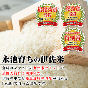 isa541 【定期便】令和5年産 特別栽培米 伊佐米永池ひのひかり(計30kg・10kg×3ヶ月)鹿児島 伊佐市 永池 お米 米 白米 精米 伊佐米 食味コンテスト 最優秀賞受賞 ヒノヒカリ【エコフ