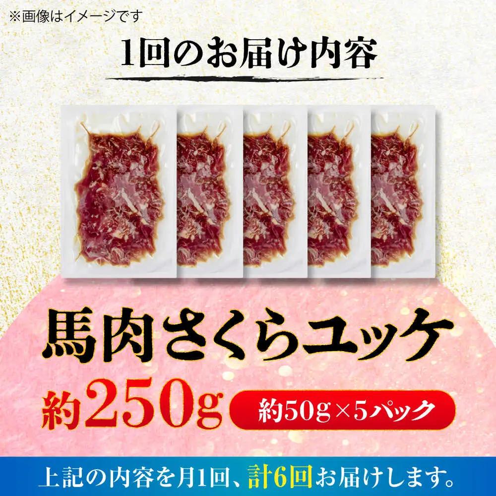 全6回定期便 馬肉さくら ユッケ 約250g ユッケ BHCY031