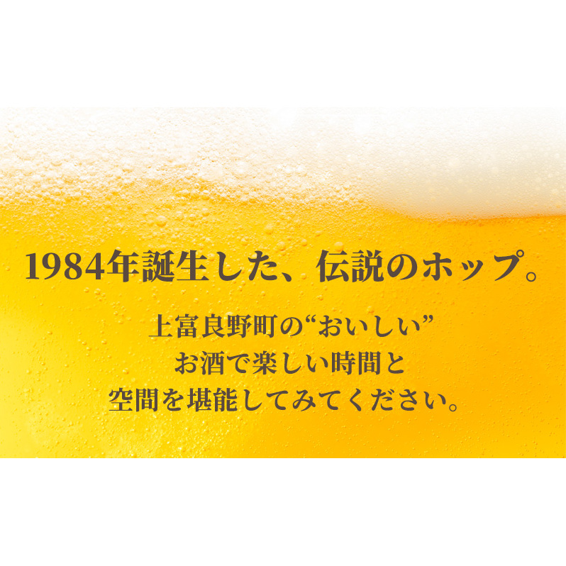 ◆6ヶ月定期便◆上富良野町発祥！伝説のホップ「ソラチエース」使用【SORACHI 1984】350ml×12缶 北海道 上富良野町 ソラチ1984 お酒 酒 飲み物 ビール 地ビール サッポロビール 