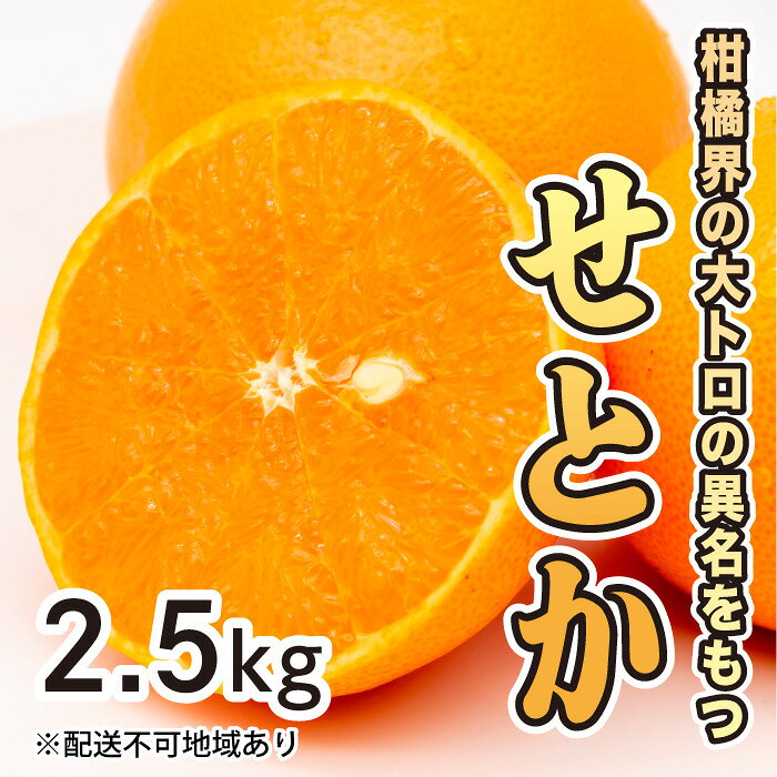 【ふるさと納税】みかん 柑橘【先行受付】【2027年2月下旬以降発送】果汁たっぷり甘さに満足 柑橘の大トロせとか ＜2.5kg＞ 広島 三原 佐木島 鷺島みかんじま 017020
